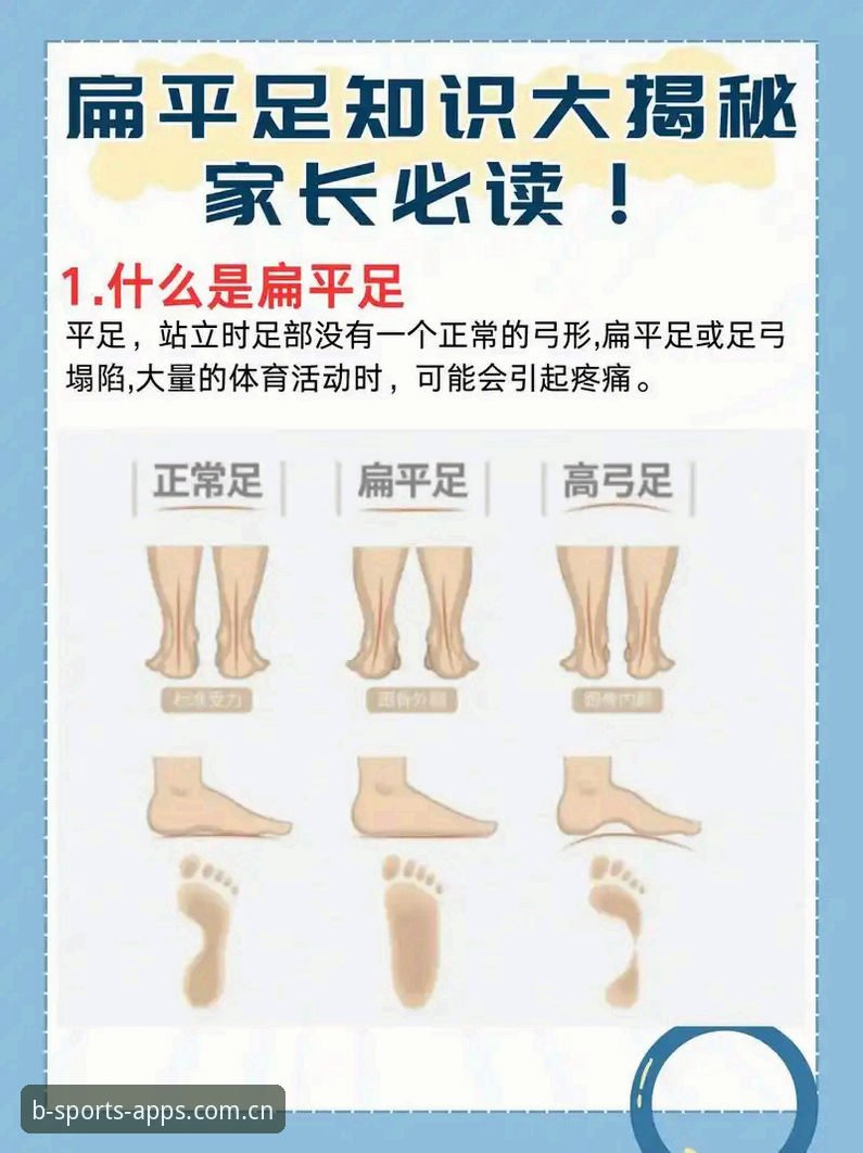 揭秘B体育官方平台：深度解析其安全性与用户体验真相